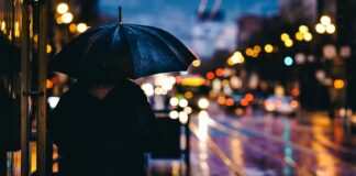 Czy pady polerskie są jednorazowe? Czy pady polerskie są jednorazowe?